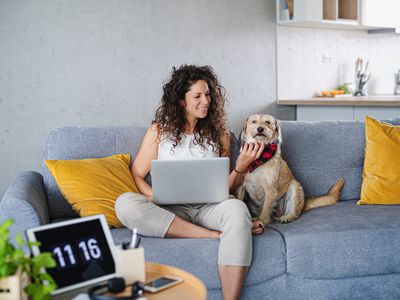 女人坐在沙发上和狗一起工作，在笔记本电脑上工作