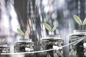 四coin-filled graduated-sized jar与幼苗代表估计你的退休需要的步骤